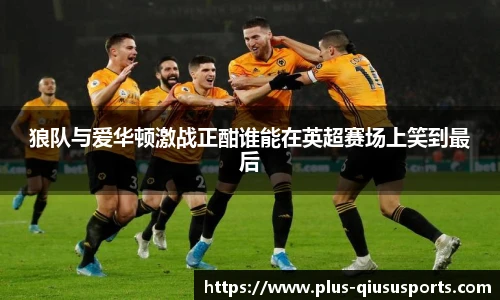 狼队与爱华顿激战正酣谁能在英超赛场上笑到最后